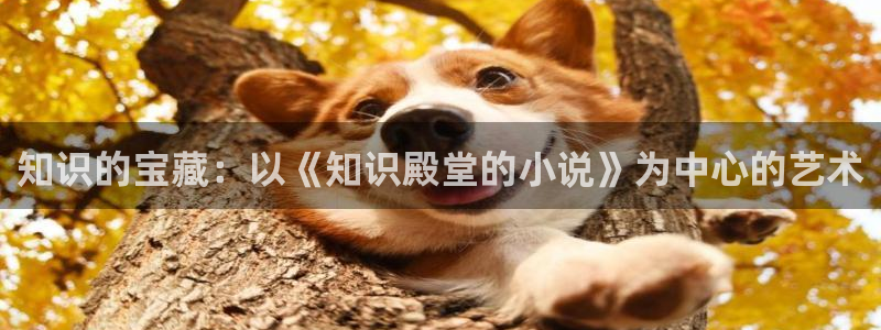五月小说：知识的宝藏：以《知识殿堂的小说》为中心的艺术