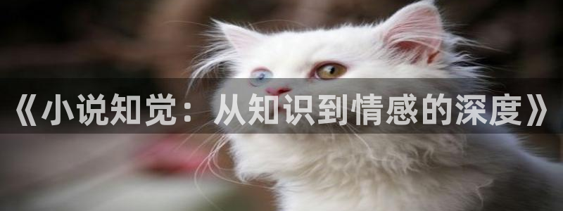 校园五月小说：《小说知觉：从知识到情感的深度》