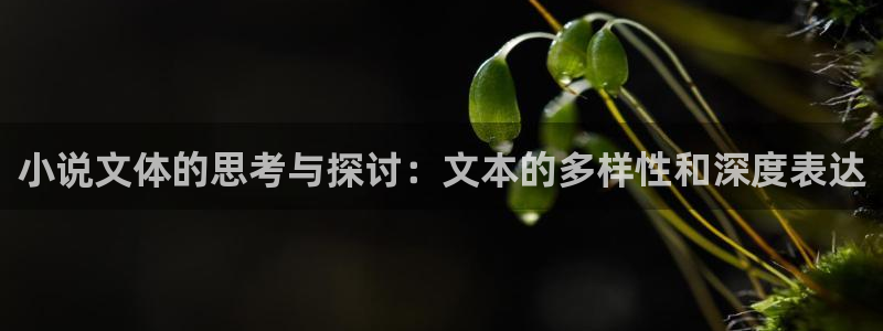 久久五月小说：小说文体的思考与探讨：文本的多样性和深度表达