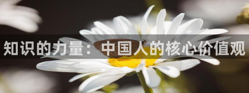 清晨心动孟五月小说全文免费阅读：知识的力量：中国人的核心价值观